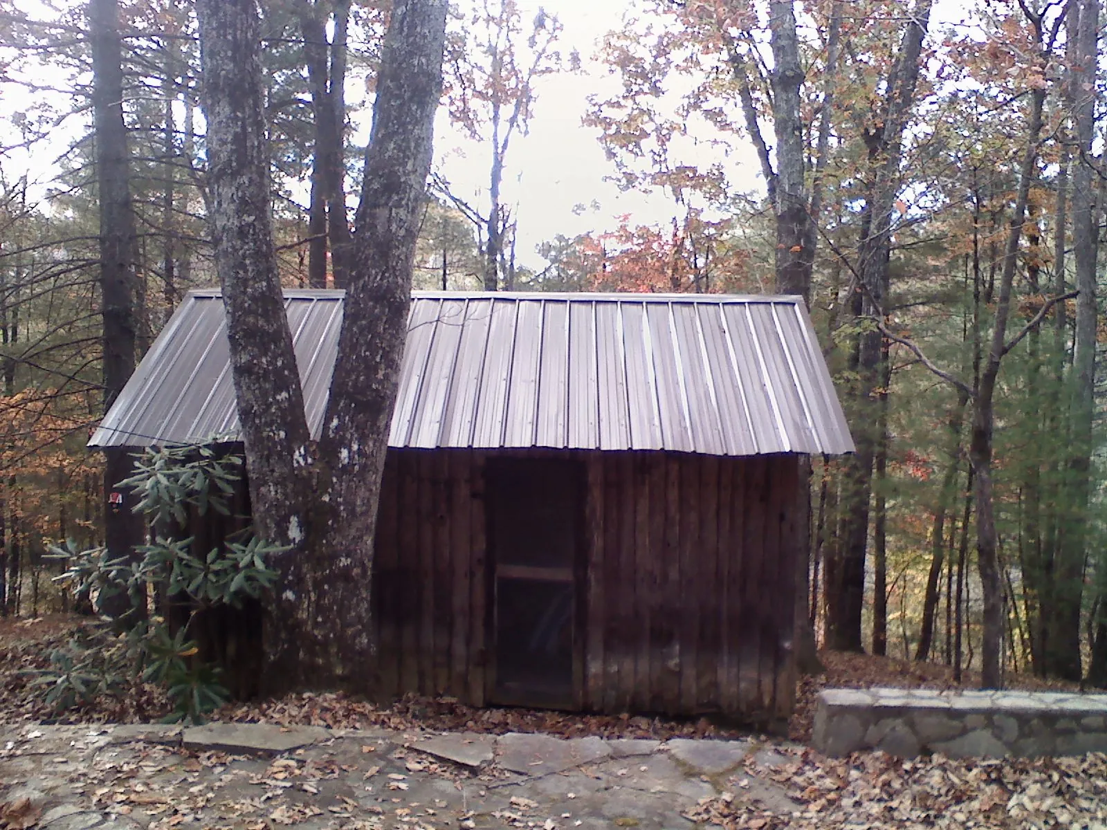 New metal gable roof on a small log shed among the trees in Meigs
